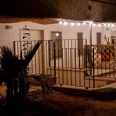 Le Case Di Pat - Palms Home 산 피에트로 인 베바냐 외부 사진